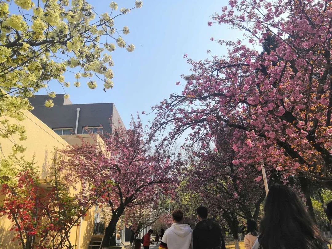 1596376086718155.jpg 1596376086718155.jpg