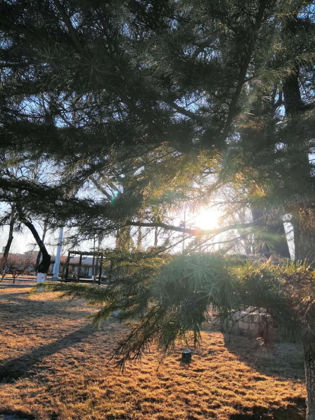 1596376167410223.jpg 1596376167410223.jpg