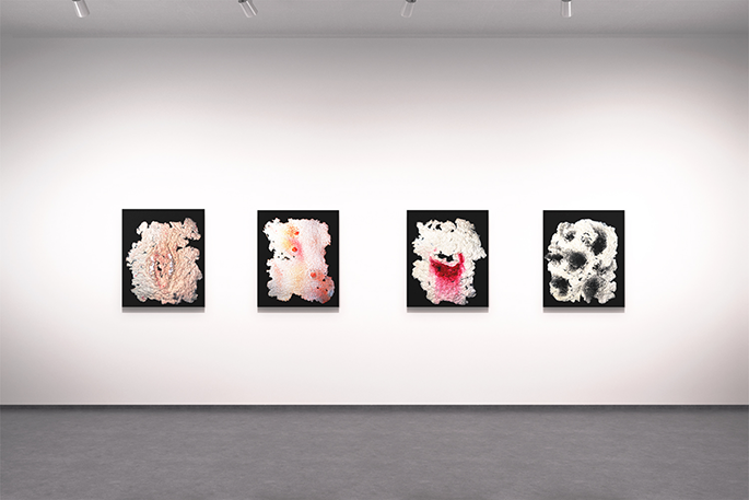 1658196423103938.png 图片 3.png