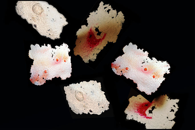 1658281322364305.jpg 图8.jpg