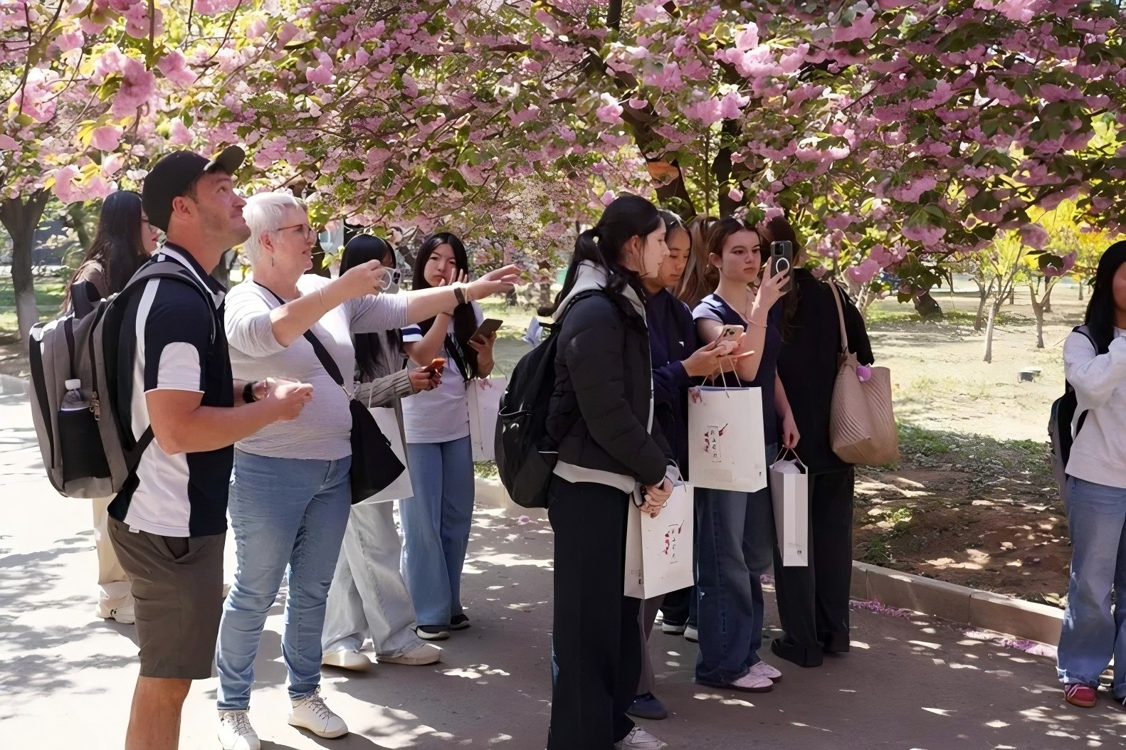 1745312296514352.jpg 1745312296514352.jpg