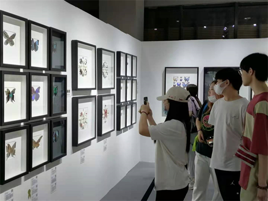 1665203375938859.png image.png